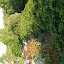 DSCN5503.JPG