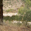 PA040331.JPG