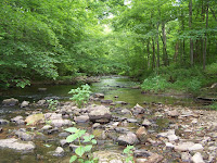 Nashville2008 020.JPG
