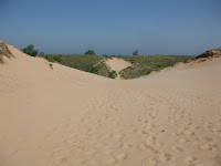 Summer 2008 146.JPG