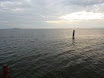 P1050830.JPG