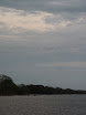 P1050833.JPG