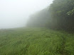 P1050977.JPG