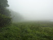 P1050976.JPG