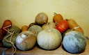 Monton de calabazas