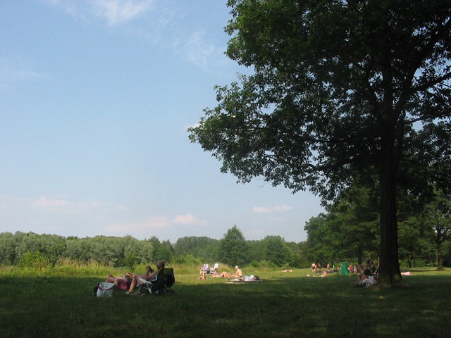 IMG_0168 IMG_0168