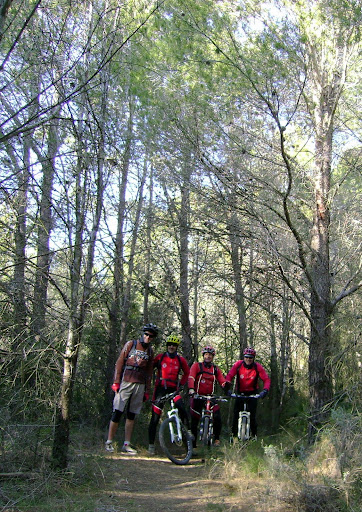 Foto de Ulldecona, camins Cogula, Castell, Ulldecona, Mulet, cimentera, Alfacs, les Cases, Reijolera, Ull