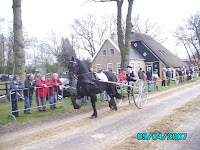 diever.jpg