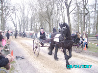 draaisma diever.jpg