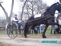 cees diever 07.jpg