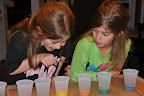 IMG_20100403_203703.JPG