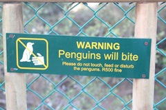 penguin bite sign