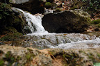 DSC_6608.JPG
