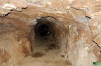 DSC_7172.JPG