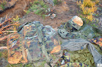 DSC_6693.JPG