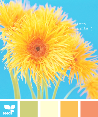 [FloralBrights[3].png]
