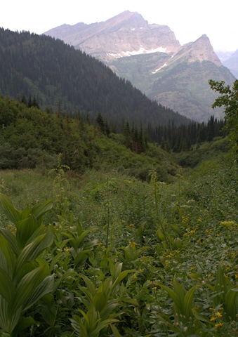 [_MG_2425_cr[5].jpg]
