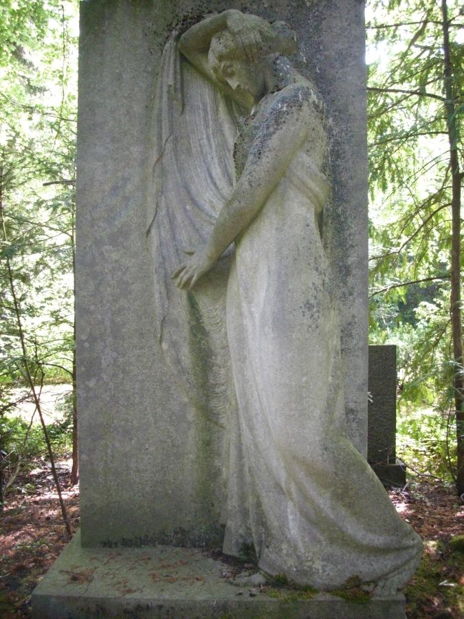 zum n&auml;chsten Bild