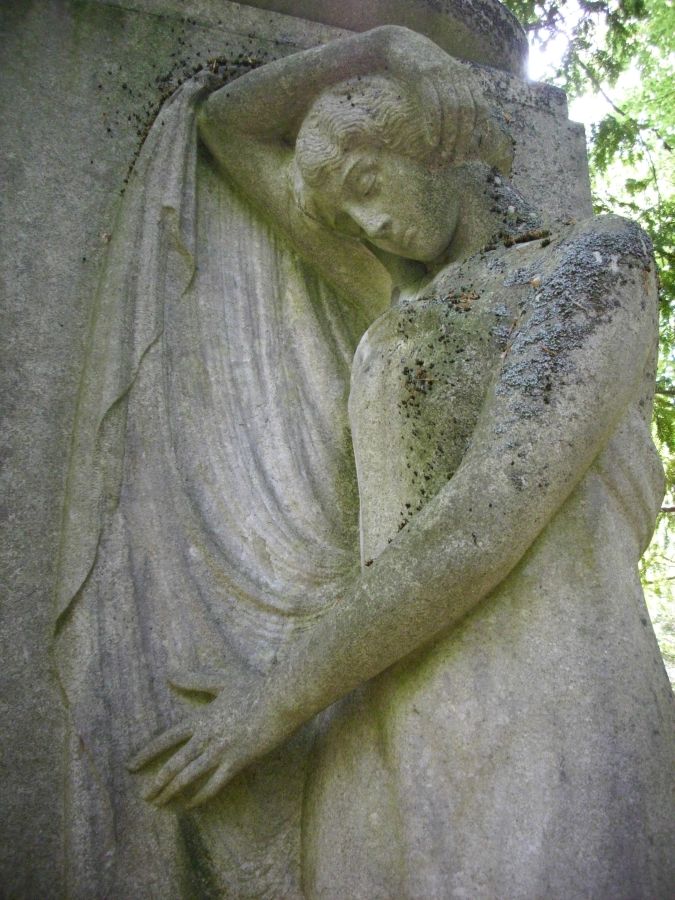 zum n&auml;chsten Bild