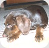 DSCN7172 DSCN7172