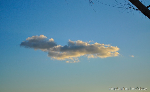 [DSC_1071_29408.jpg]