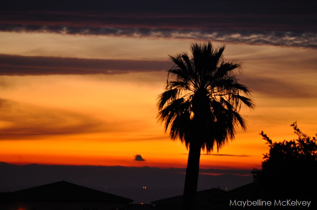 [DSC_1093_2960[7].jpg]