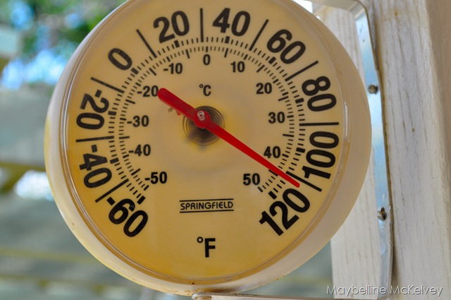 [DSC_1293_1507[6].jpg]