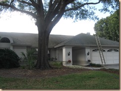 No Pressure Cleaning Roof Tampa 33602 11-17-2009 2-58-38 AM