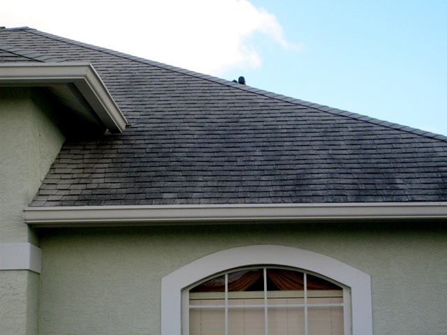 [Tampa Non Pressure Roof Cleaning 045[2].jpg]