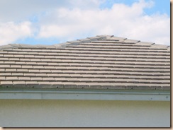Tampa Non Pressure Roof Cleaning 026 Tampa Non Pressure Roof Cleaning 026