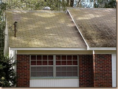 Tampa Roof Cleaning 002 Tampa Roof Cleaning 002