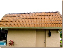 roof cleaning 028 roof cleaning 028