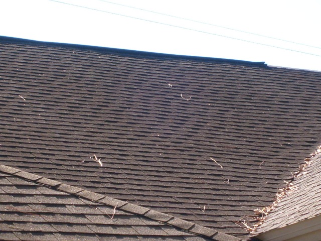 [Tampa Non Pressure Roof Cleaning 006[2].jpg]