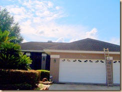 Tampa Non Pressure Roof Cleaning 010 Tampa Non Pressure Roof Cleaning 010