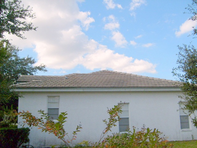 [Tampa Non Pressure Roof Cleaning 025[2].jpg]