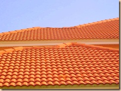 Tampa Non Pressure Tile Roof Cleaning 