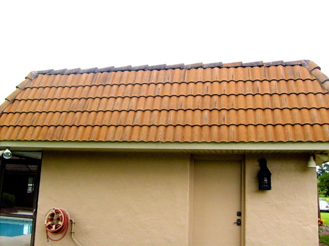 [roof cleaning 028[2].jpg]