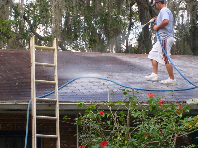 [Tampa Roof Cleaning 010[2].jpg]