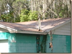 Tampa Roof Cleaning 012