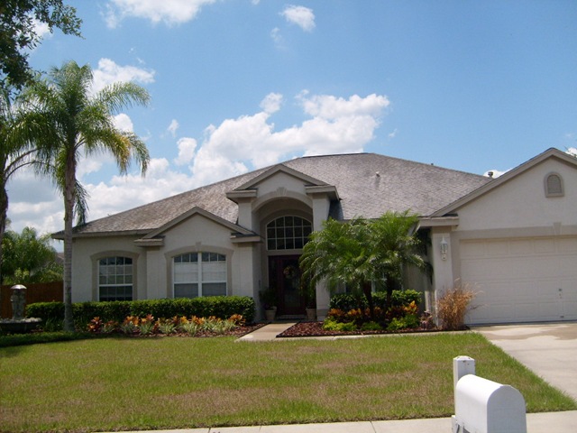 [Copy of Tampa Roof Cleaning 031[2].jpg]