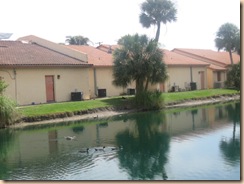 IMG_0211 IMG_0211