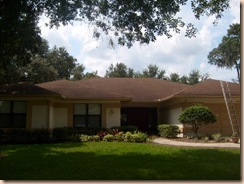 Tampa Roof Cleaning 027
