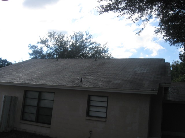 [Tile-Roof-Cleaning-33601-Tampa-FL 11-17-2009 3-55-54 AM[3].jpg]
