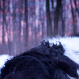 walter-sunrise-2.jpg