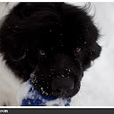 housebound-2.jpg