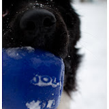 housebound-3.jpg