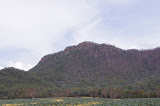 IMGP4602.JPG
