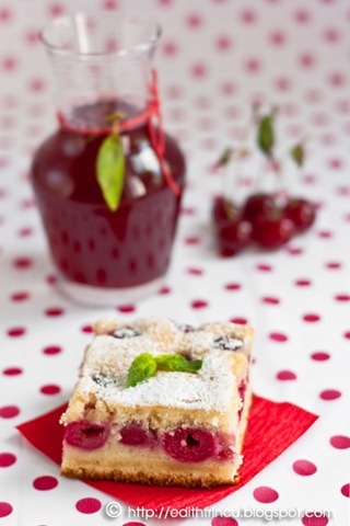 [prajitura cu visine 2[8].jpg]