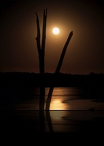 36543860_harvmoon_100201