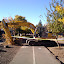 Tree destroyed by construction vehicle also fully blocking bike lane on north campus (south and north bound lanes.)
